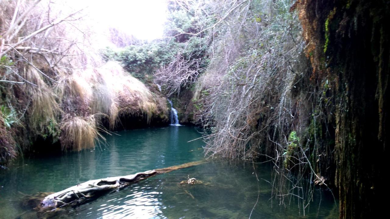 Casa Rural Tia Catalina Fuentealbilla Bagian luar foto